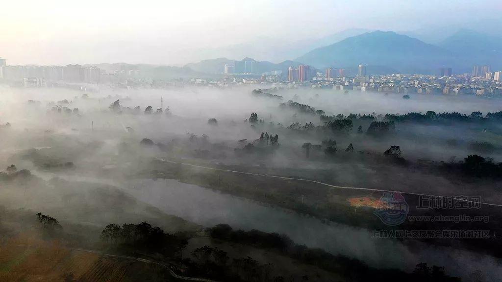 苏菲亚和安伯的休闲装