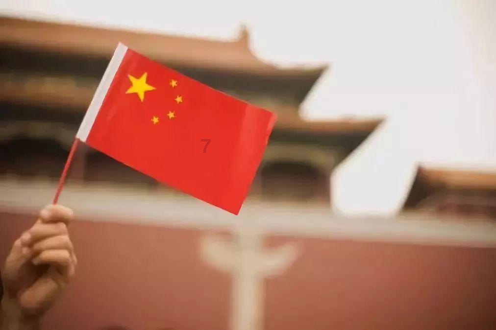 救援白色小猫