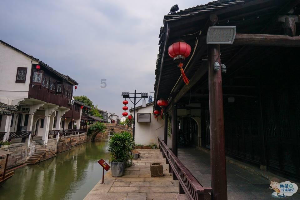 逃离金色蜜蜂森林